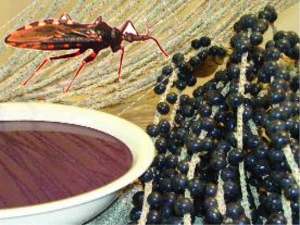 Resultado de imagem para barbeiro no aÃ§aÃ­