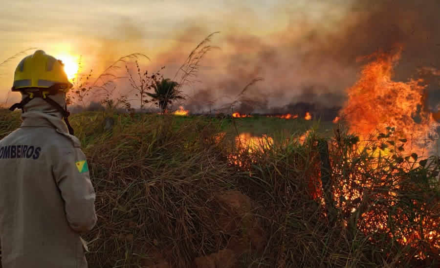 Bombeiros atenderam 374 ocorrências de queimadas no final de ...