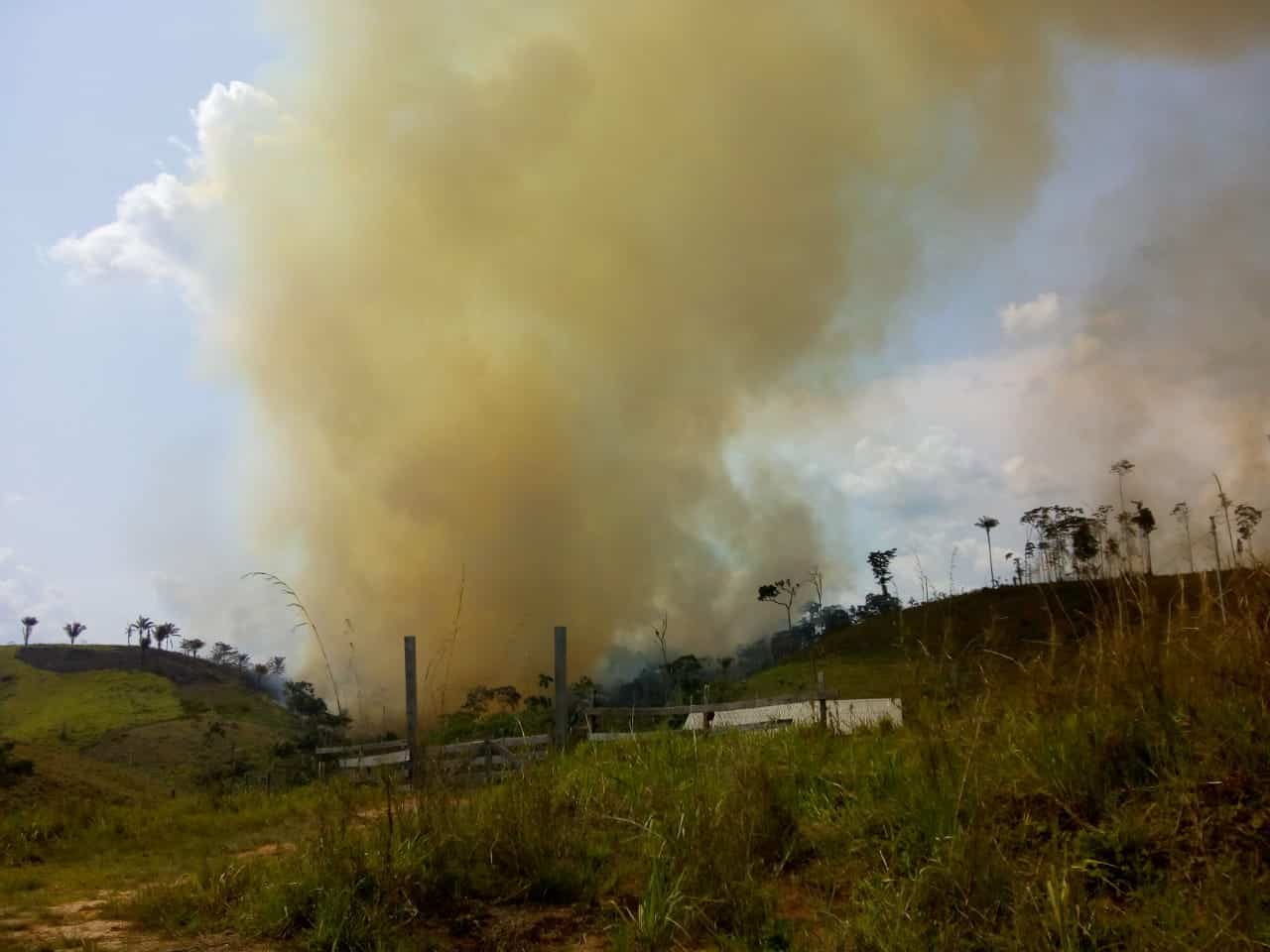 WhatsApp Image 2019-09-19 at 07.35.01